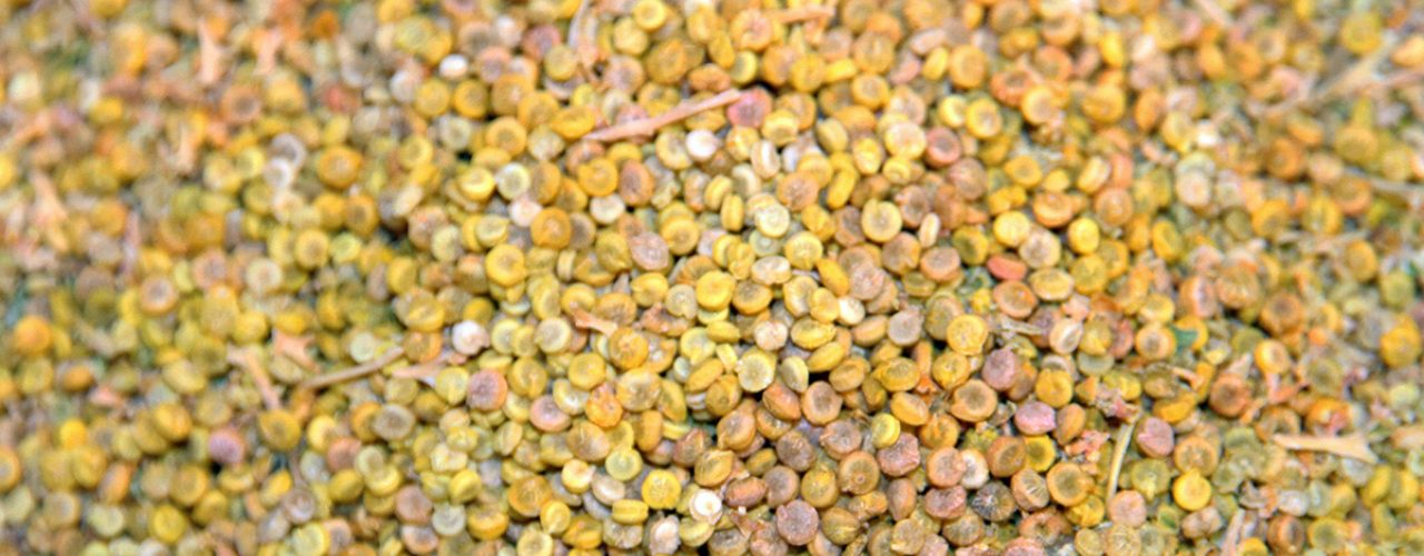 Quina Anita Land 2229 Quina Anita Land 2229