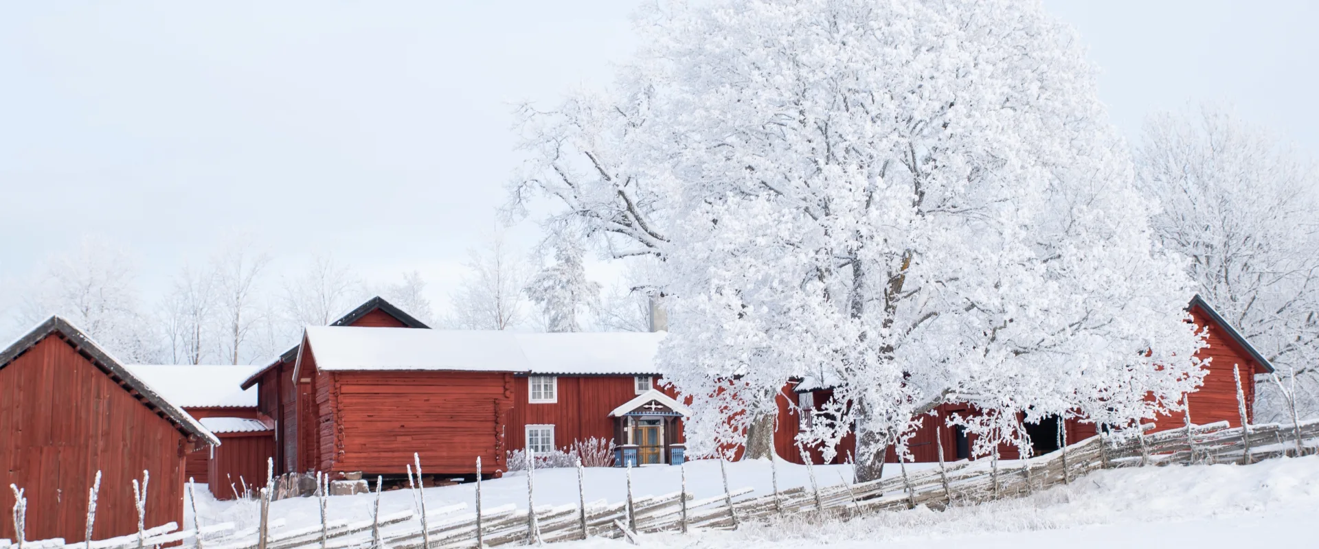 Norsøk (Norsk senter for økologisk landbruk) - økologisk kunnskap for landbruk og samfunn