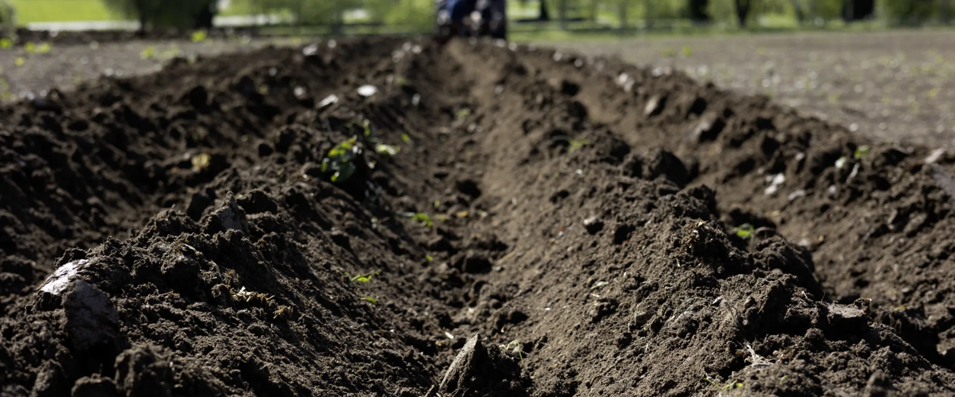 Norsøk (Norsk senter for økologisk landbruk) - økologisk kunnskap for landbruk og samfunn
