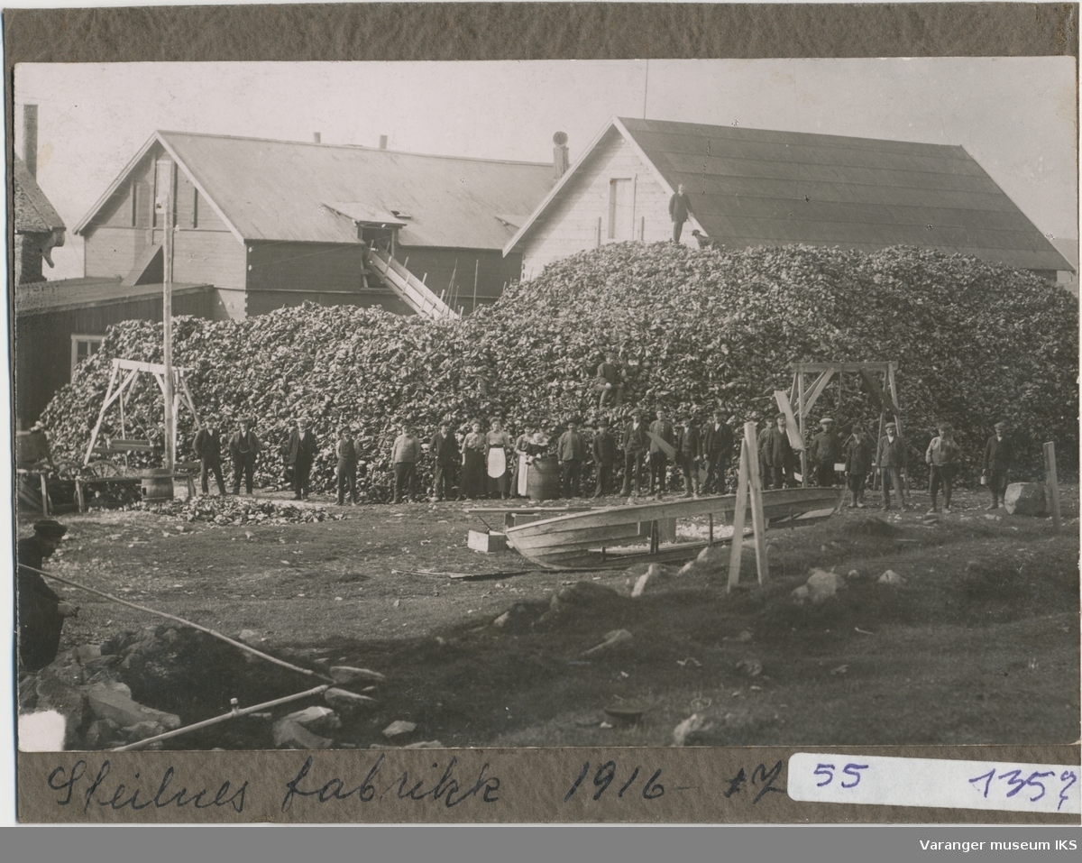 Guanofabrikken på Steilneset, ca. 1916 (Foto: Arkivfoto: Vardø Museum)