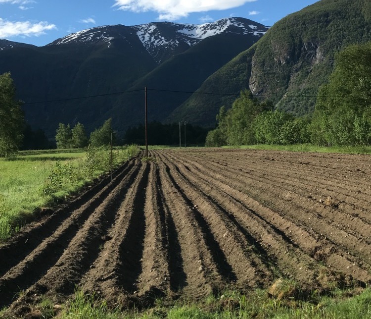 Marita vil etablere andelsgården på en av teigene nede ved Lærdalselven på gården Eri. (Foto: Privat)