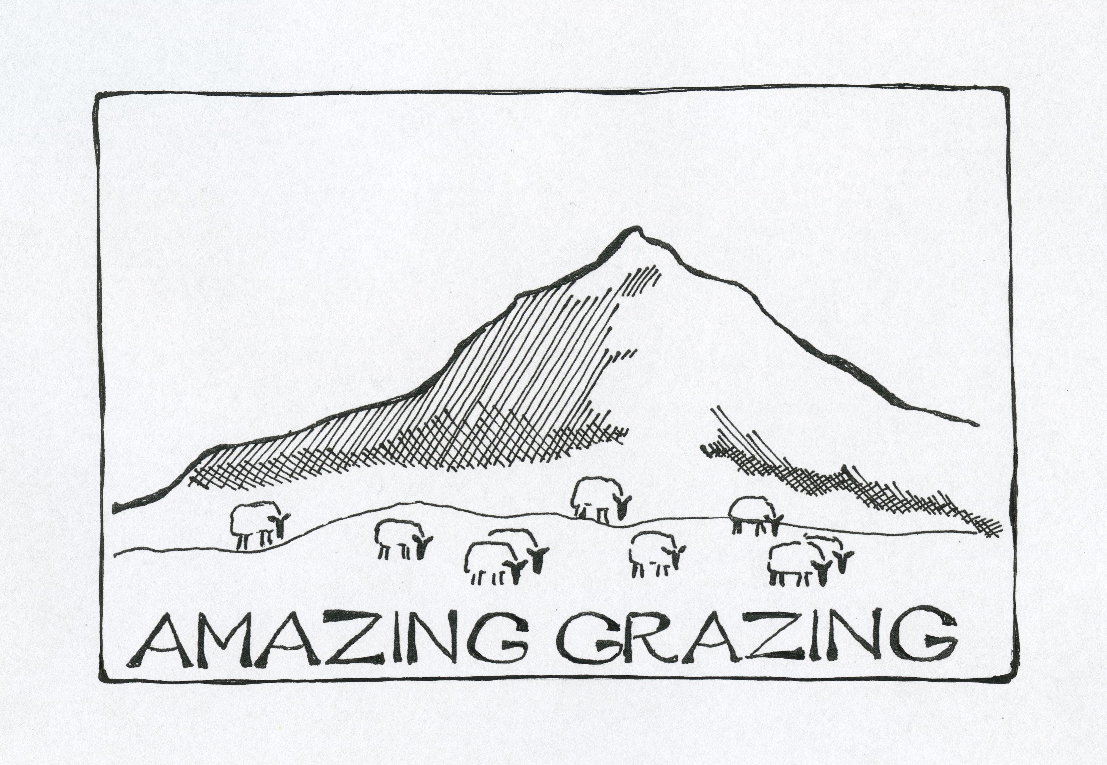 Amazing Grazing Logo Med Ramme