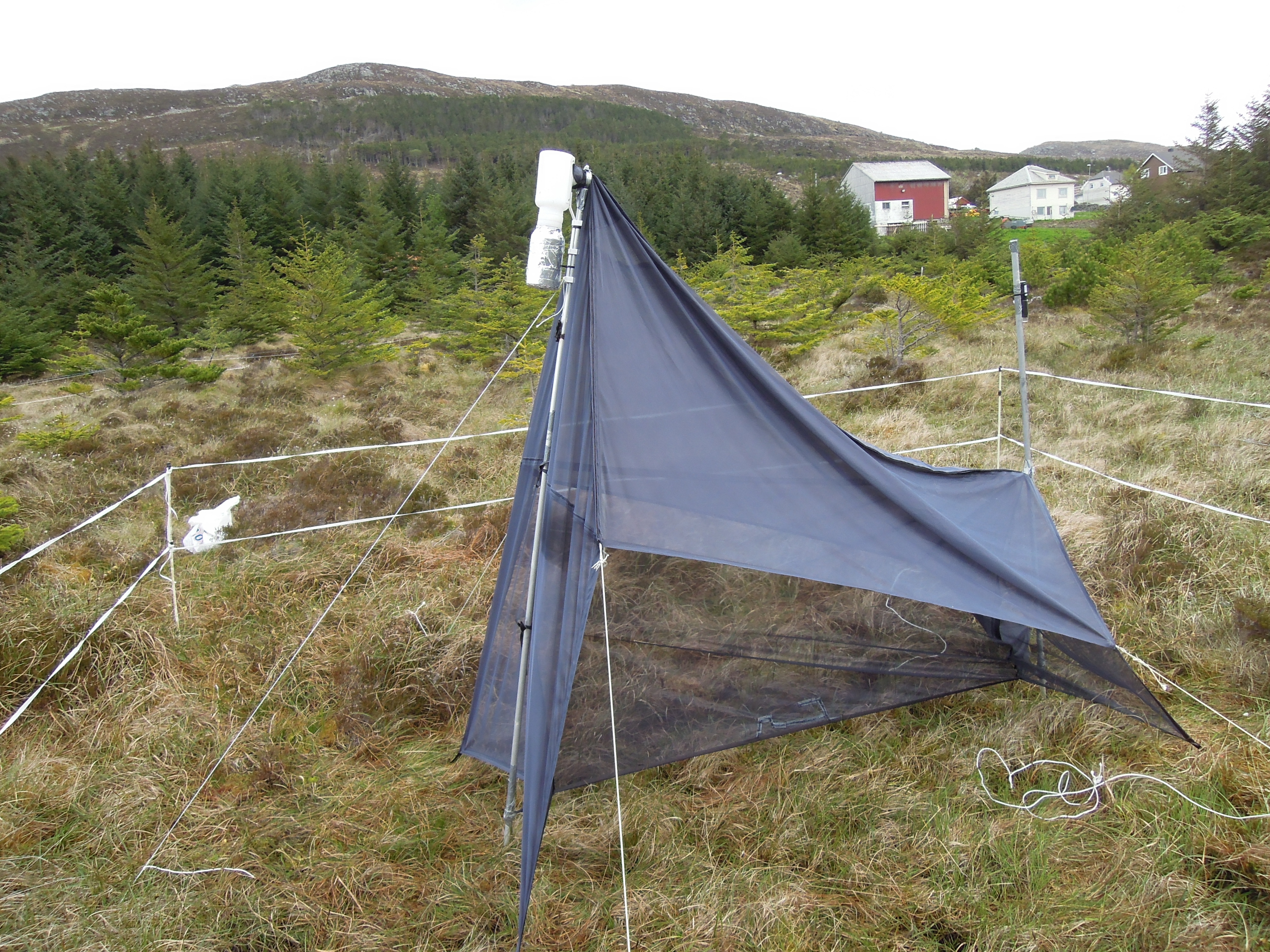 Insektfelle ute på forskningsfelt (Foto: Atle Wibe)