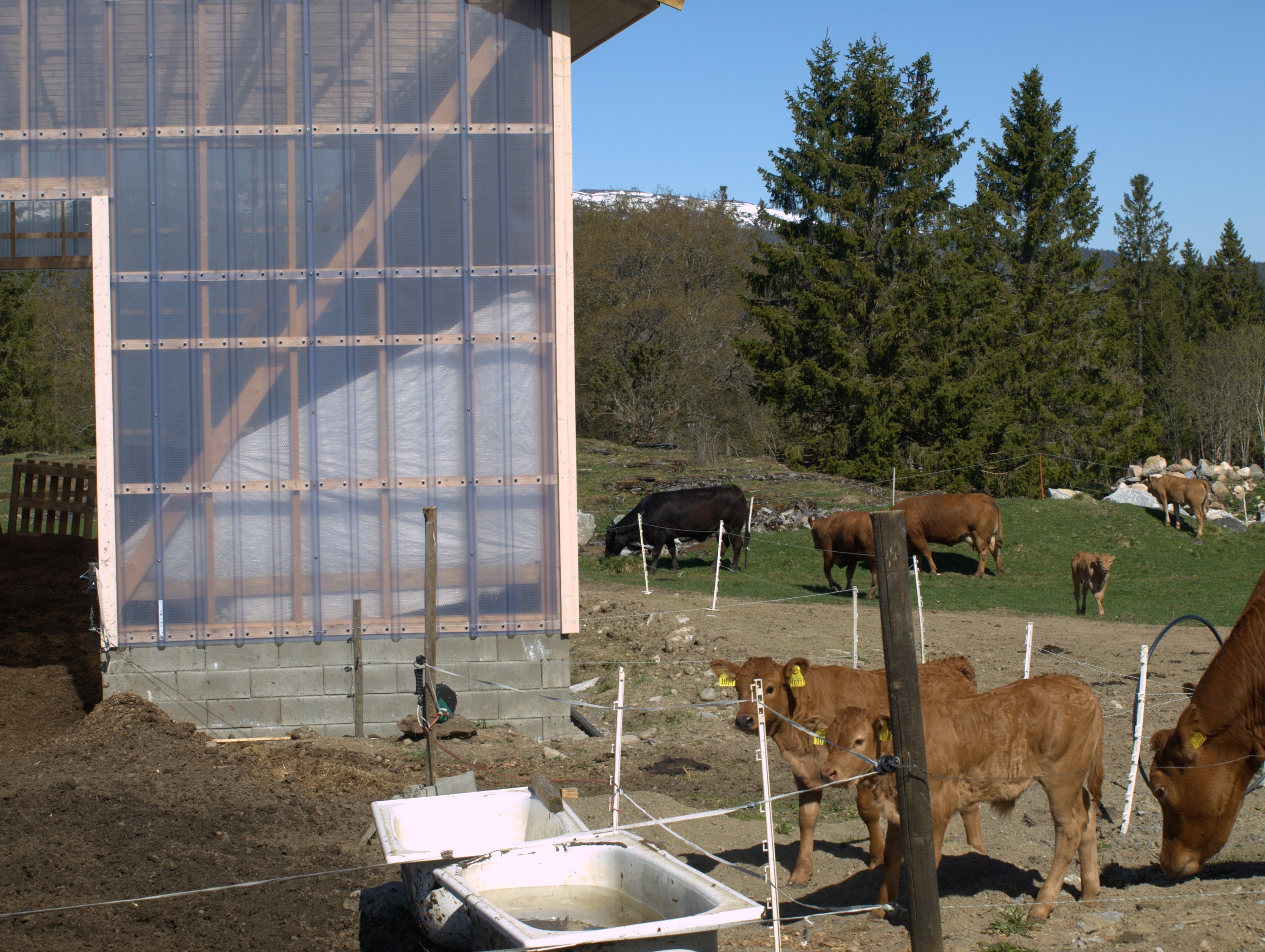 Compost barn is a multifunctional and modern building combining plant cultivation and livestock (Photo: Susanne Friis Pedersen)