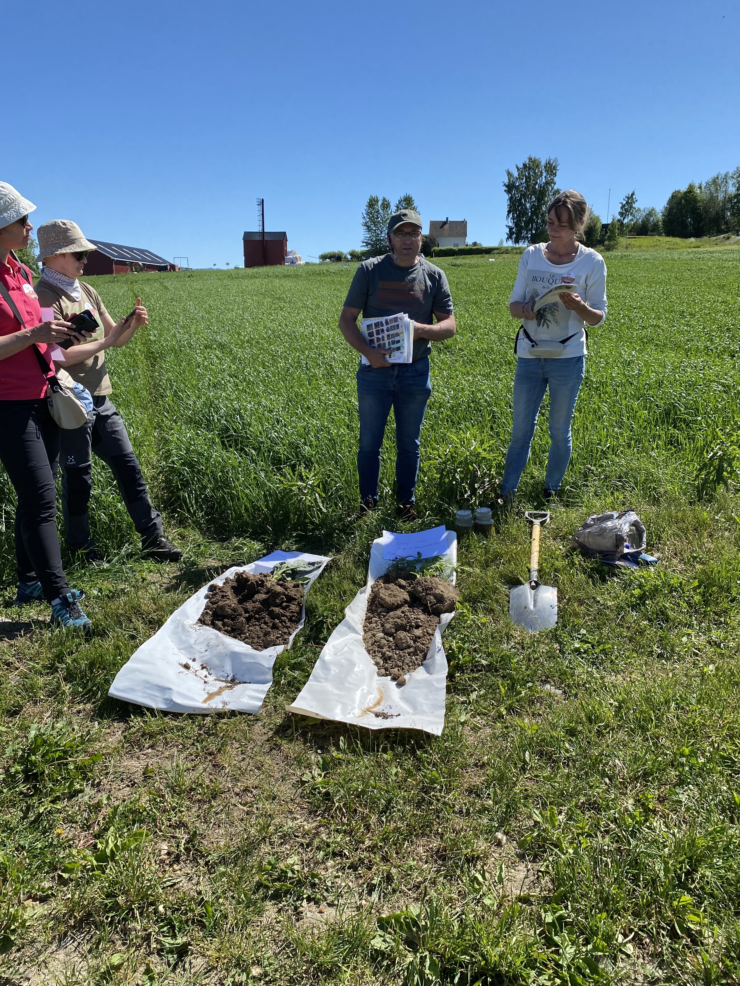 Lars Munkholm (Aarhus University) og Annette Vestergaard (SEGES) demonstrerer "Tjek jordens sundhed," som er den Danske metoden for å måle jordhelsen. NIBIO Apelsvoll, June 2022. Foto: Reidun Pommeresche, NORSØK.