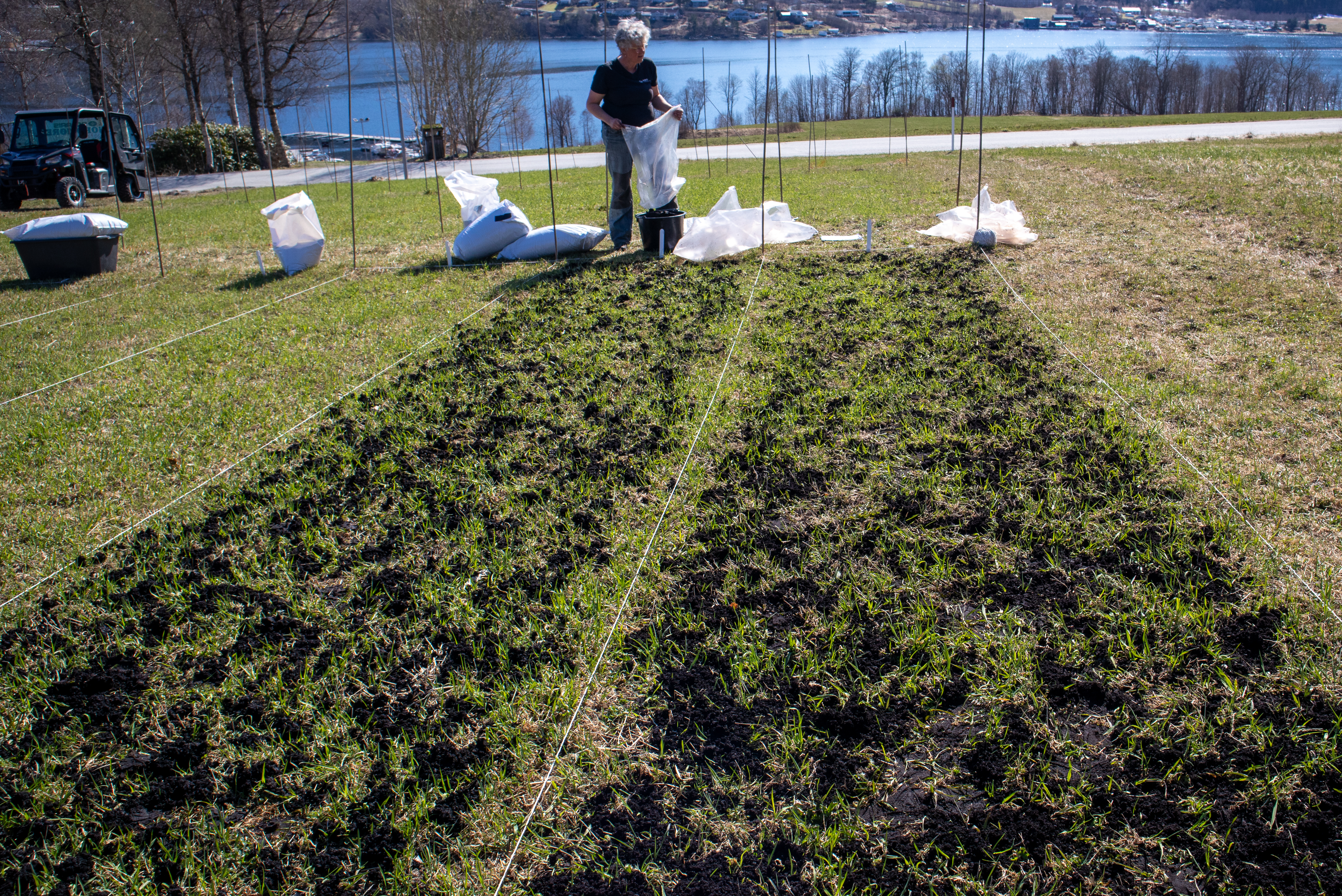 Et forsøksfelt der algefiber ble testet. Dette er restråstoff som er til overs etter at man har laget flytende organisk gjødsel av tang. (Foto: Vegard Botterli)