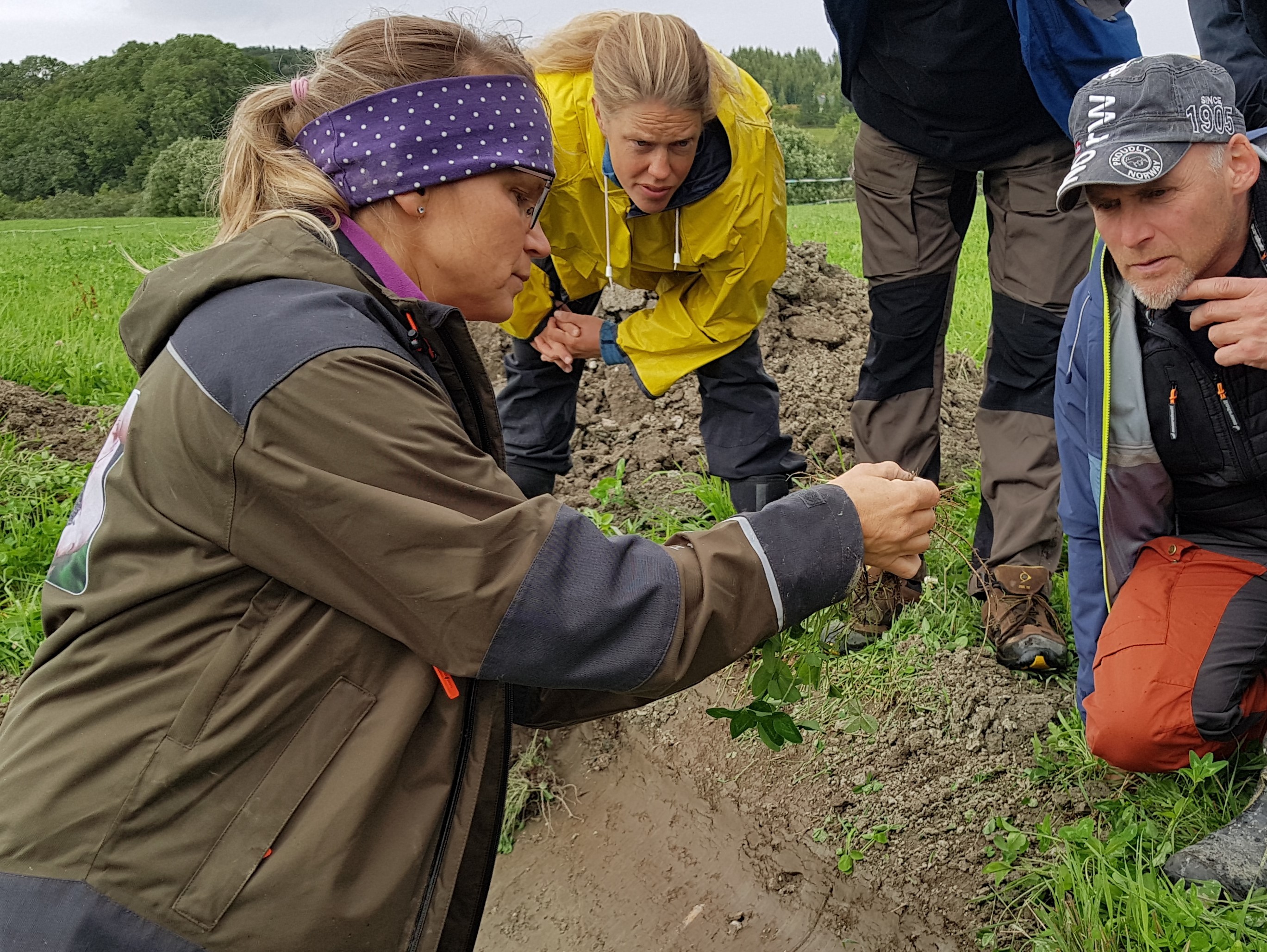 Reidun Pommeresche holder kurs i Jordlappen for ivrige bønder, rådgivere og studenter. (Foto: Maud Grøtta, NLR)