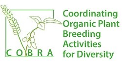Logo Cobra