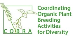 Logo Cobra