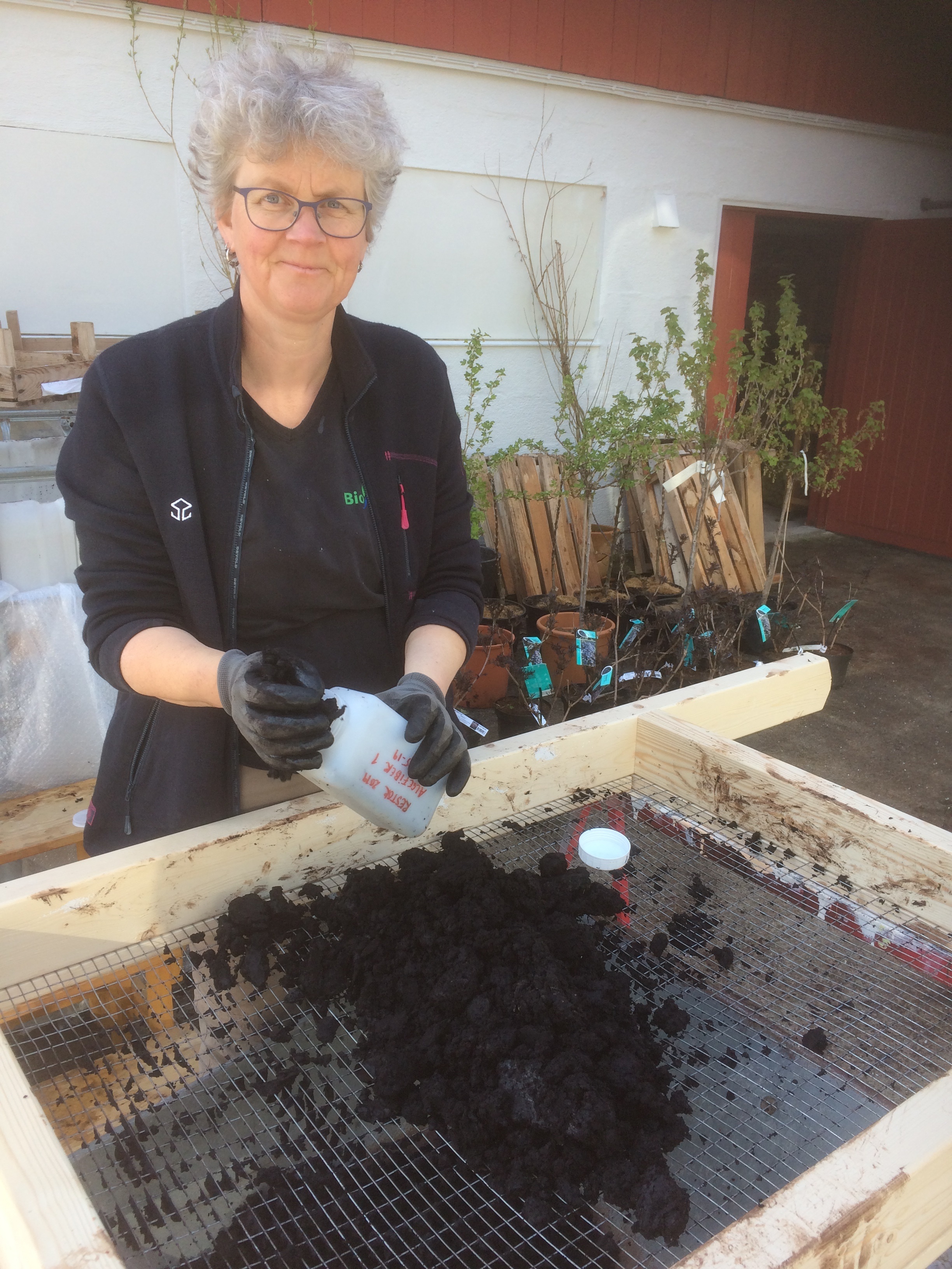Technician Anne de Boer sifts seaweed fibre. (Photo: Anne-Kristin Løes)