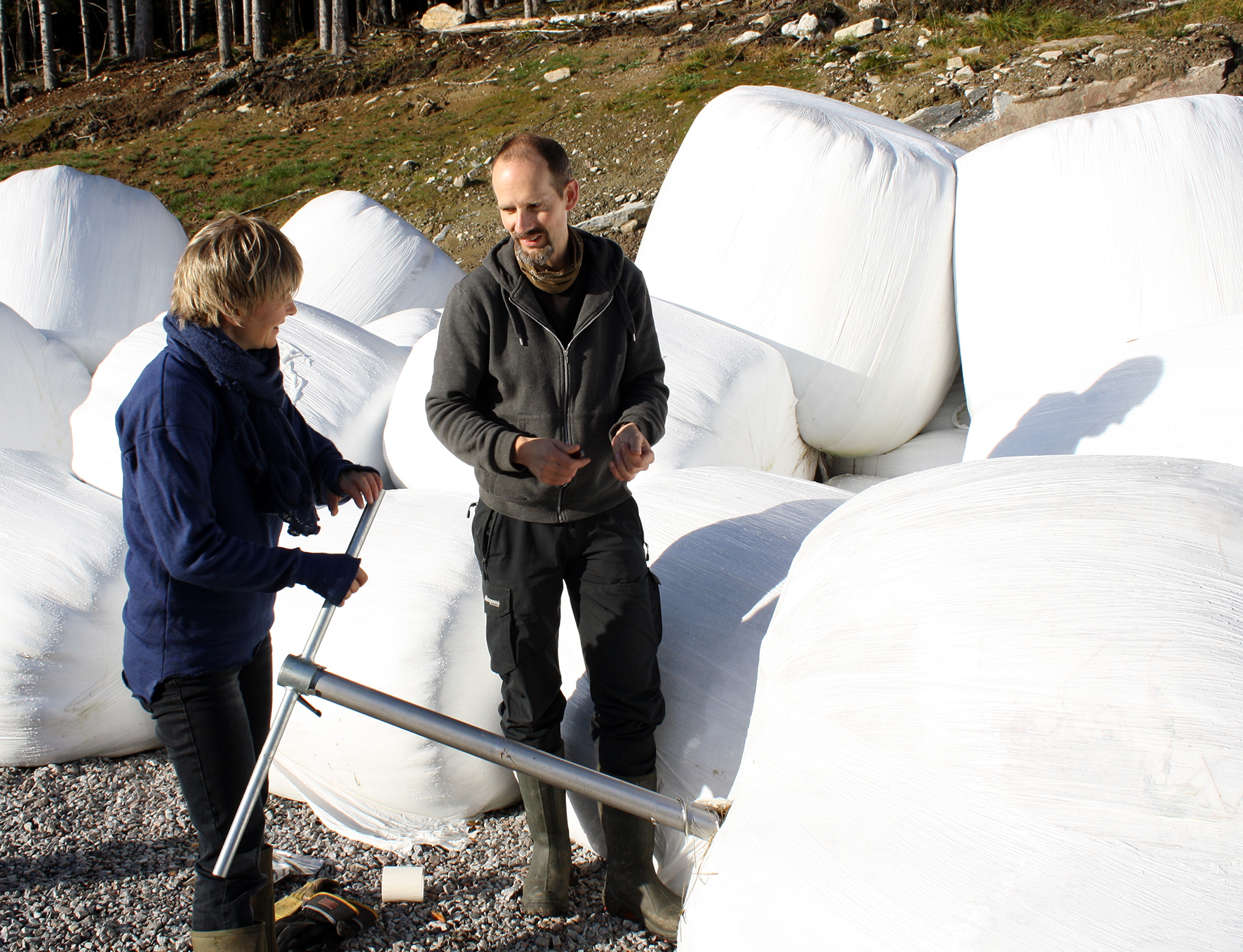 Rose Bergslid, NORSØK og Matthias Koesling, NIBIO tar prøver av fôr. (Foto: Sissel Hansen, NORSØK)