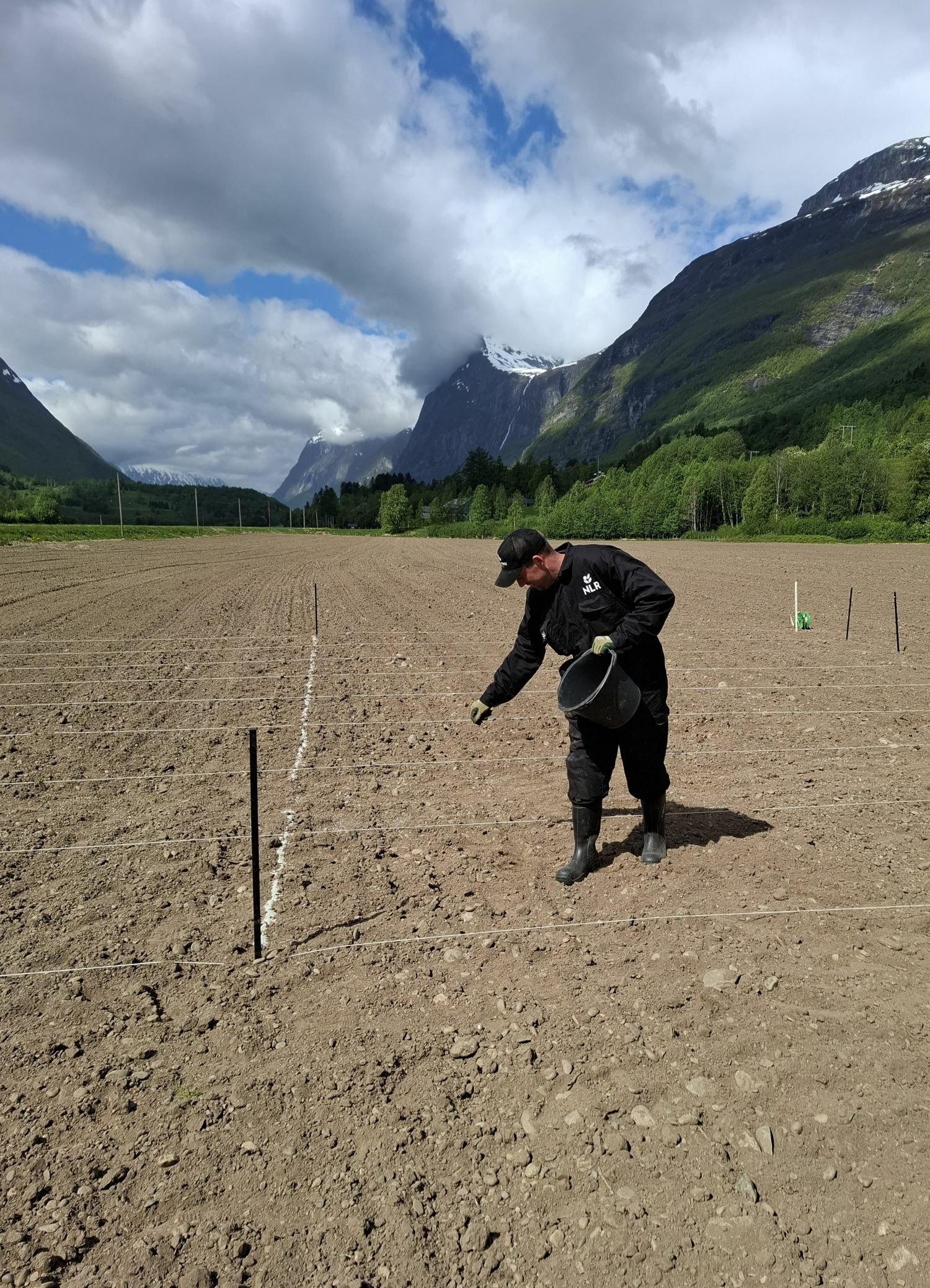 Min Org 2 Omsorgsfull spredning av mineralorganisk gjødsel på forsøksfelt i Sunndal 20. mai 2025, med Simen Myrset Reitan som mannskap. (Foto: Frode Grønmyr, NLR.)