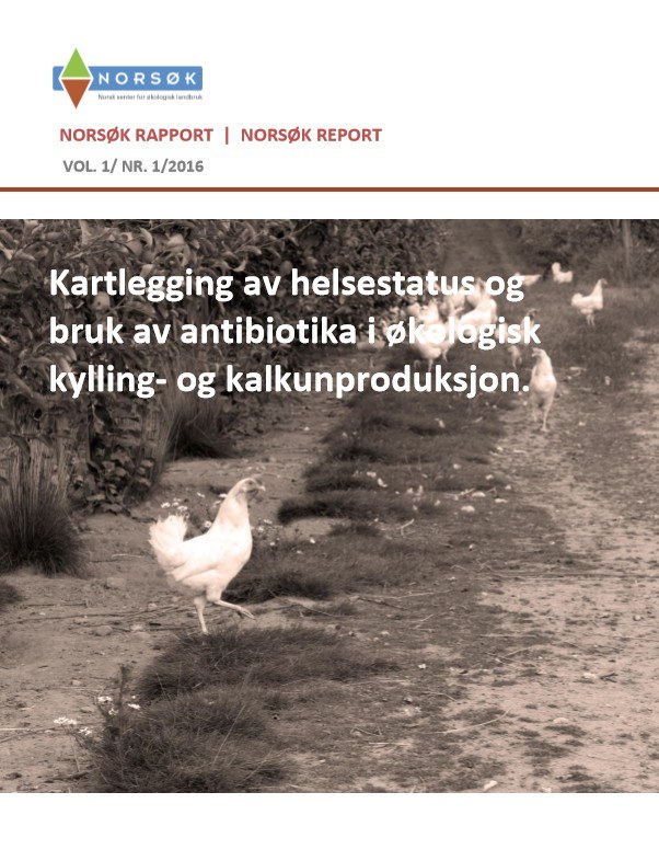 Rapport Norsok 1 2016
