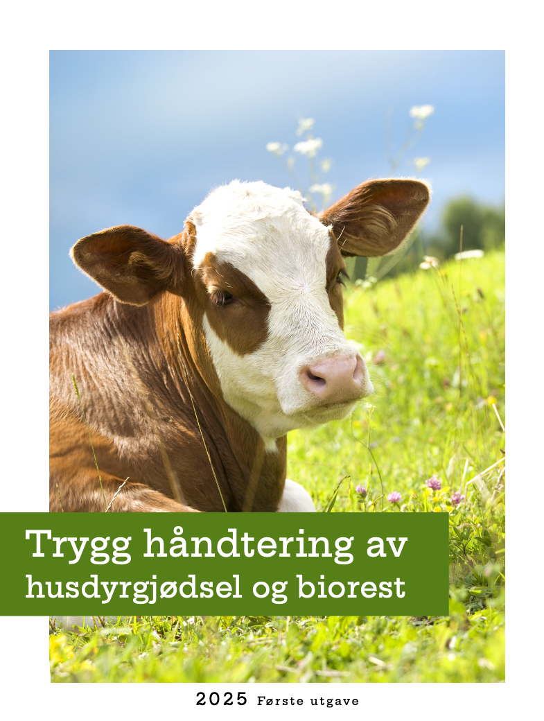 TRYKK PÅ BILDET OG LES ELLER LAST NED VEILEDEREN