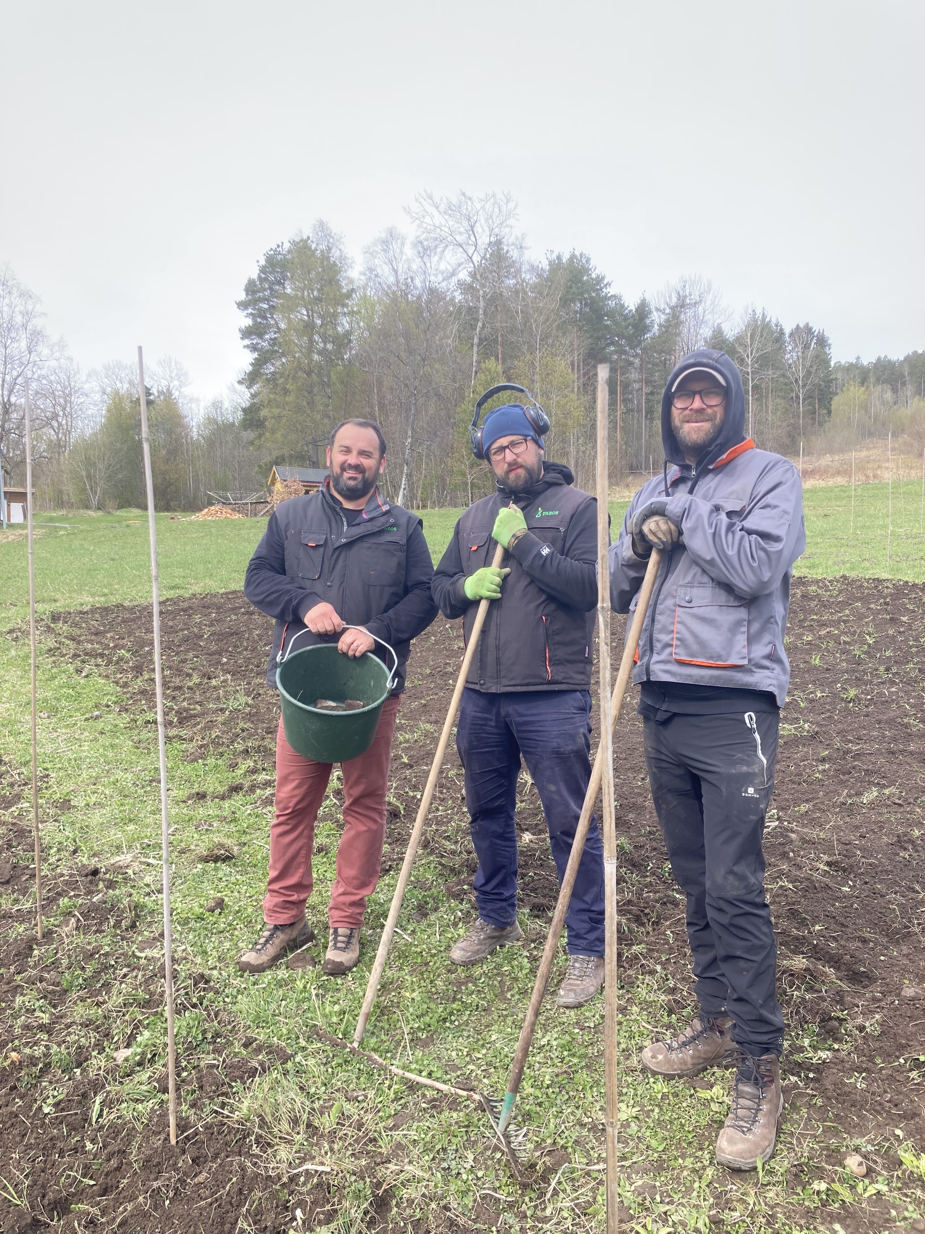 Colleagues from FAZOS (Croatia) prepared a field experiment in Tingvoll in May 2022. (Photo: Anne-Kristin Løes)