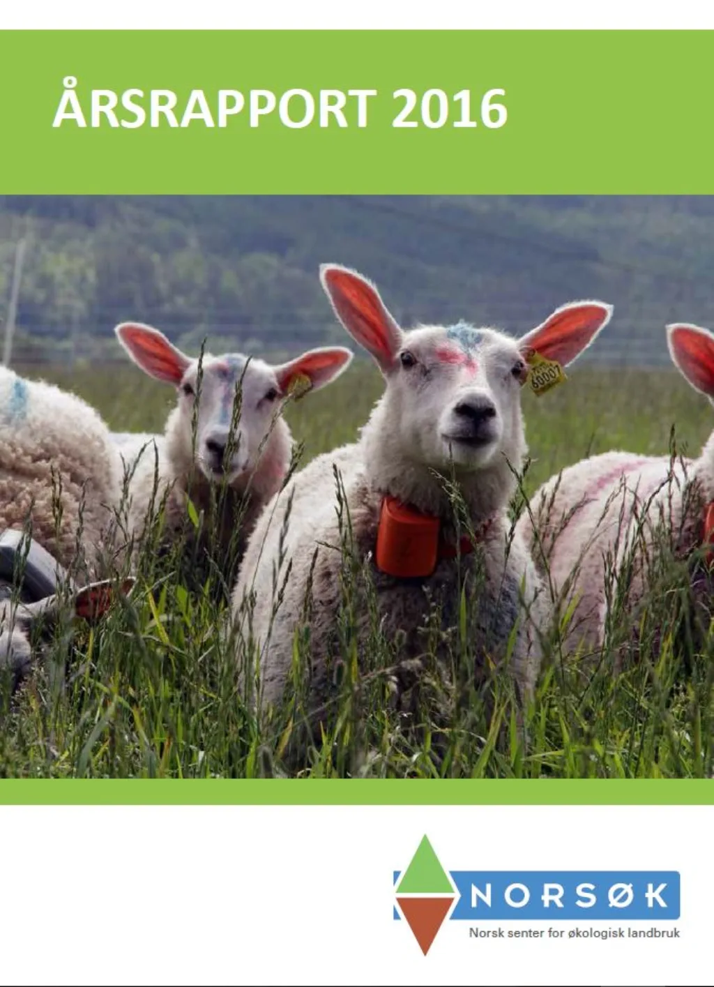 Årsmelding Norsø K 2016 Årsmelding Norsø K 2016