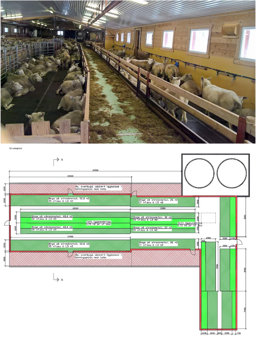 Løsning For 280 Vinterfora Sau (Foto: Kristin Sørheim, Tegning: Knut Hagen)