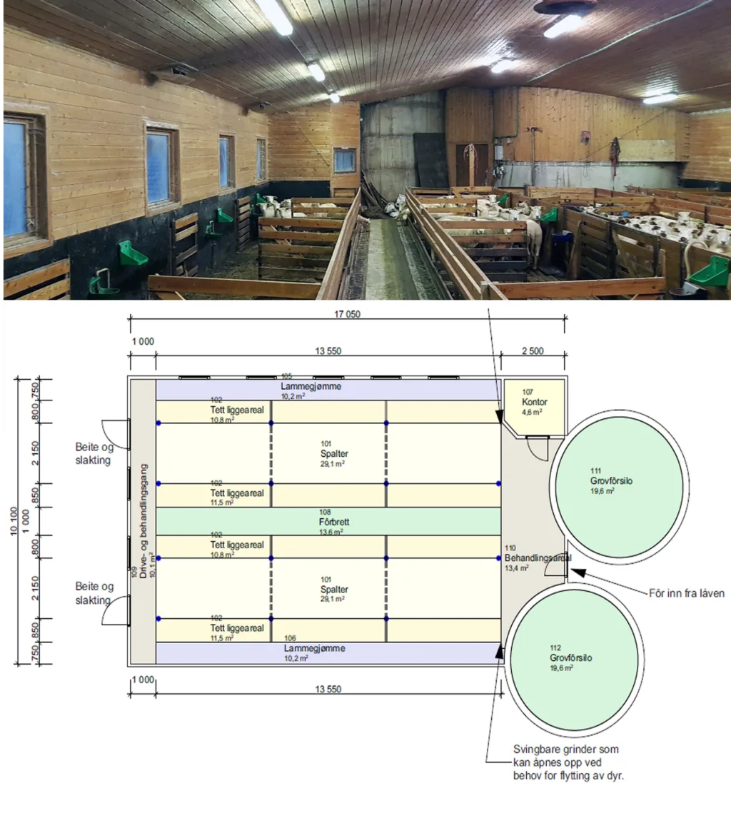 Løsning 52 Vinterfora1 (Foto: Joacim Laurendz. Tegning Alf Gunnar Nøkland)