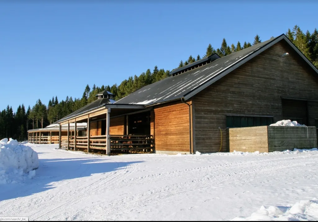 Driftsbygningen på Tingvoll gard (Foto: Maria Berg Hestad)