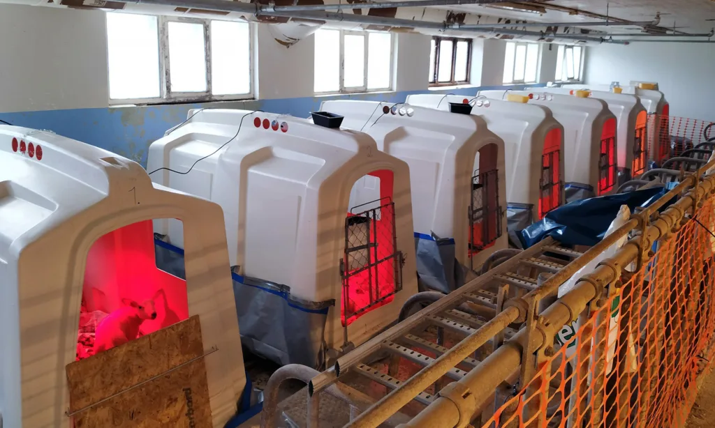 Forsøk Barkcure Foto Jrj (Photo: Rosann Johanssen)