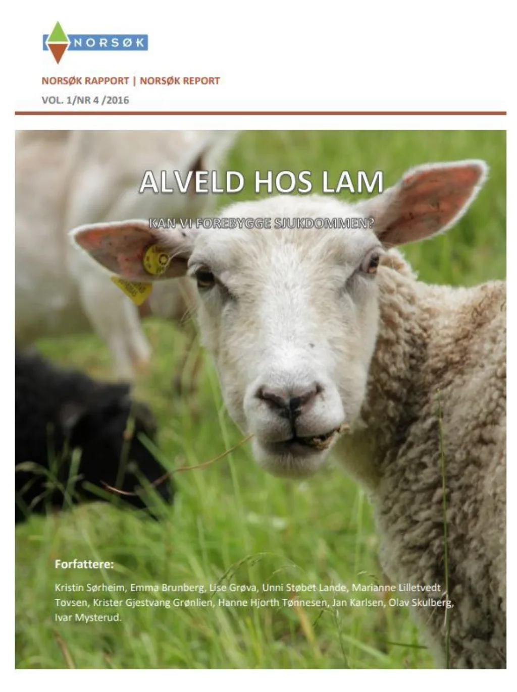 Rapport Alveld 2016 Rapport Alveld 2016