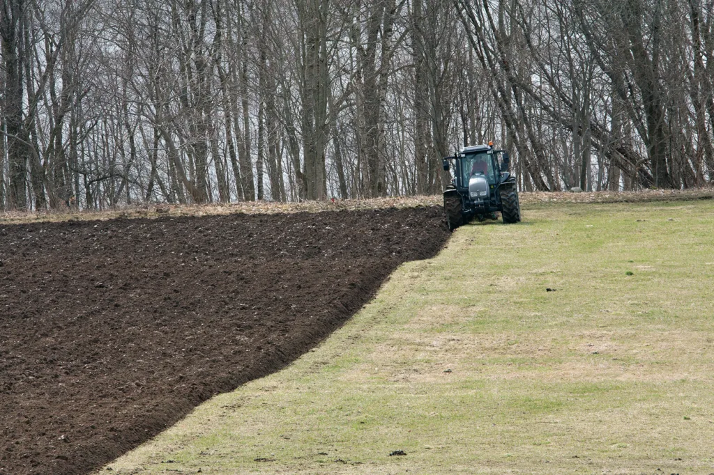 Naken jord øker faren for nitrat-utvasking betydelig, spesielt om det etterfølges av nedbørrike perioder uten plantevekst. (Foto: Anita Land)