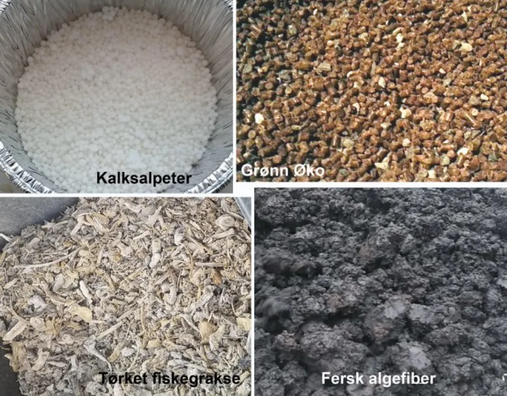 Gjødseltypene (Foto: Ishita Ahuja, Anne de Boer og Sigbjørn Drøpping)