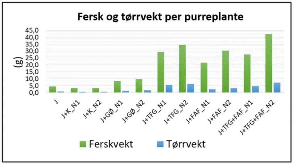 Fersk- og tørrvekt per purreplante ved ulike behandlinger.