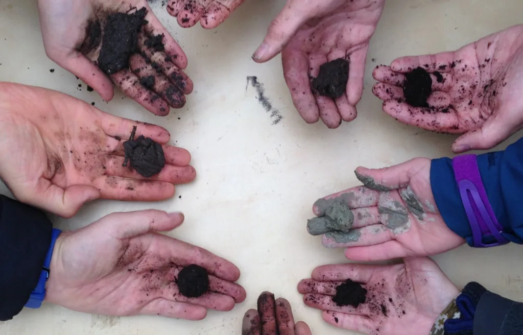 Jord I Hender Rp Utsnitt Naert Til Nettsida Collaboration on soil health in the Nordic region (Photo: Reidun Pommeresche, NORSØK)