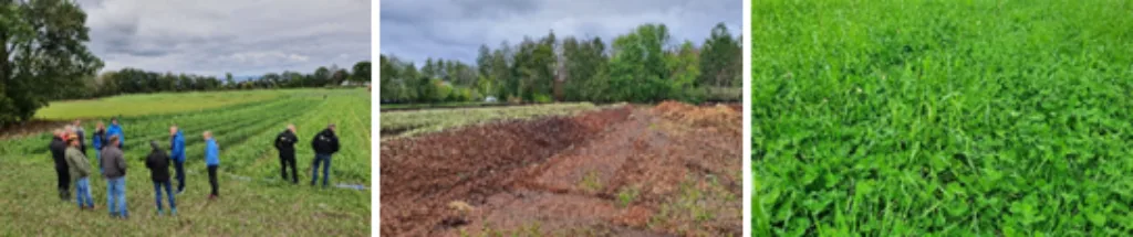 Karbon i jord avslutningsseminar heading