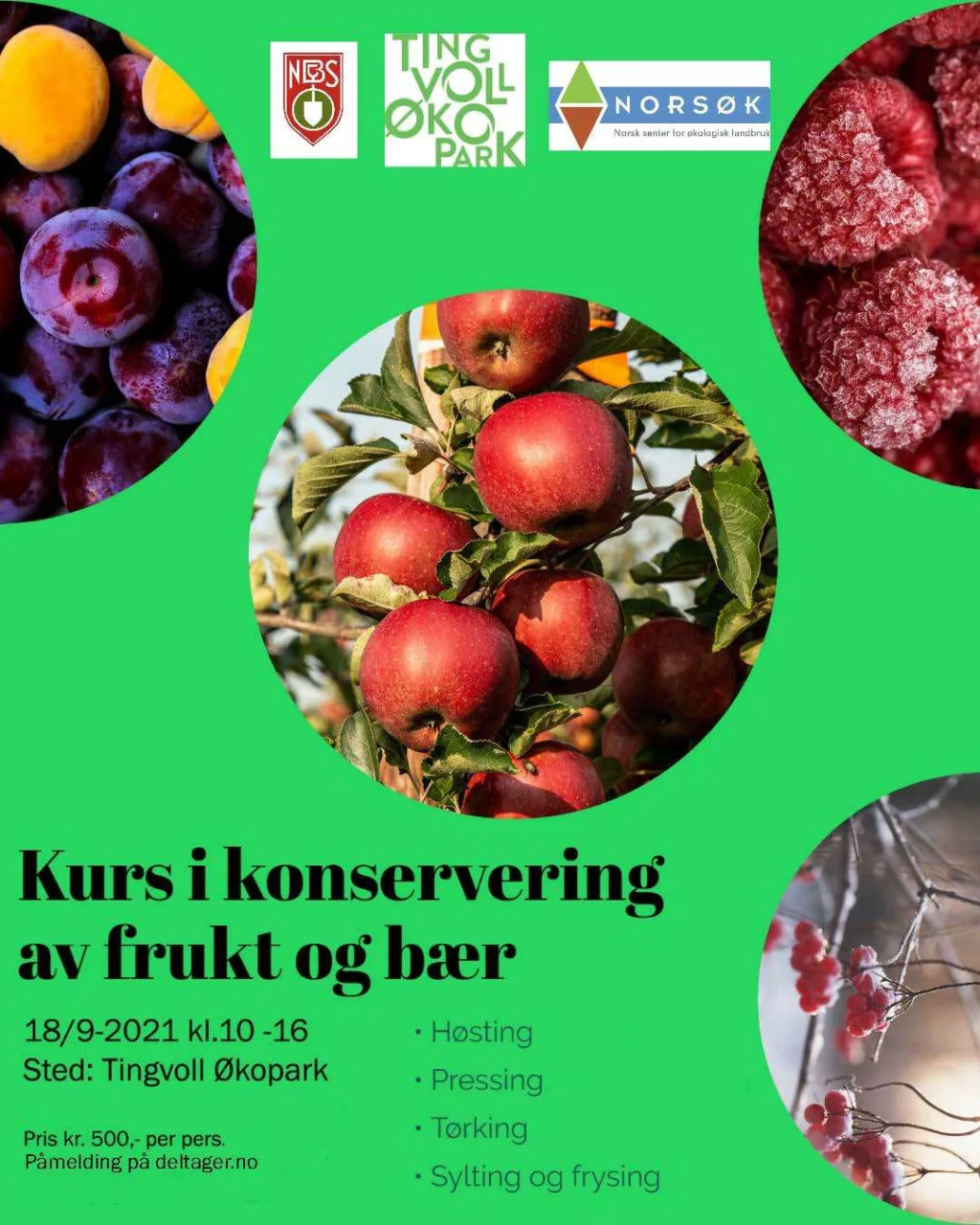 Plakat Konserveringskurs 2021