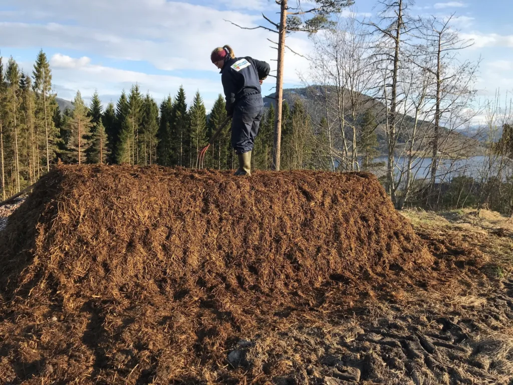 Webinar Kompost 2021 Artikkel Reidun Pommeresche gjør siste finish. (Foto: Sissel Hansen)