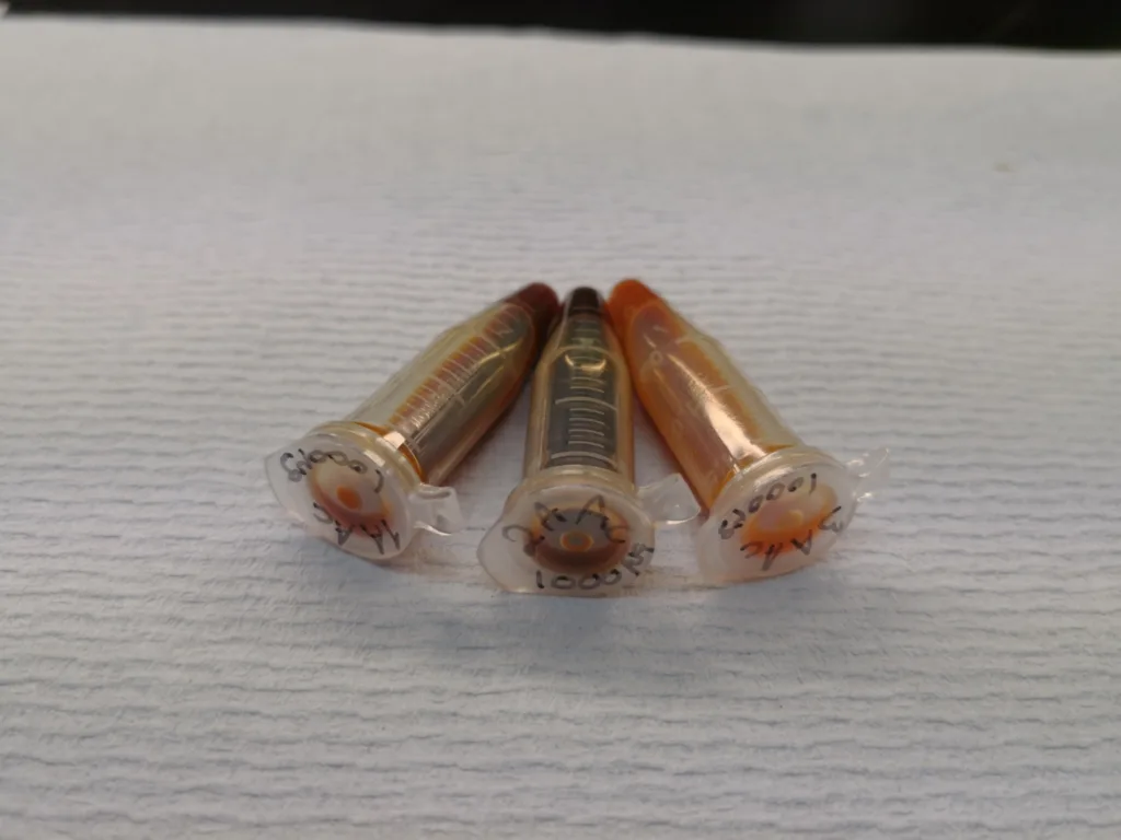 Extracts from pine and spruce bark have been shown to be effective against parasites common in sheep. (Photo: Berit Blomstrand)