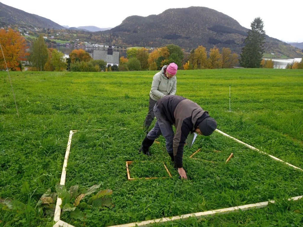 Maud Grøtta (NLR) and Max Koch (NORSØK) delimits the test routes to count the number of different plants within a defined area. (Photo: Sara Hansdotter)