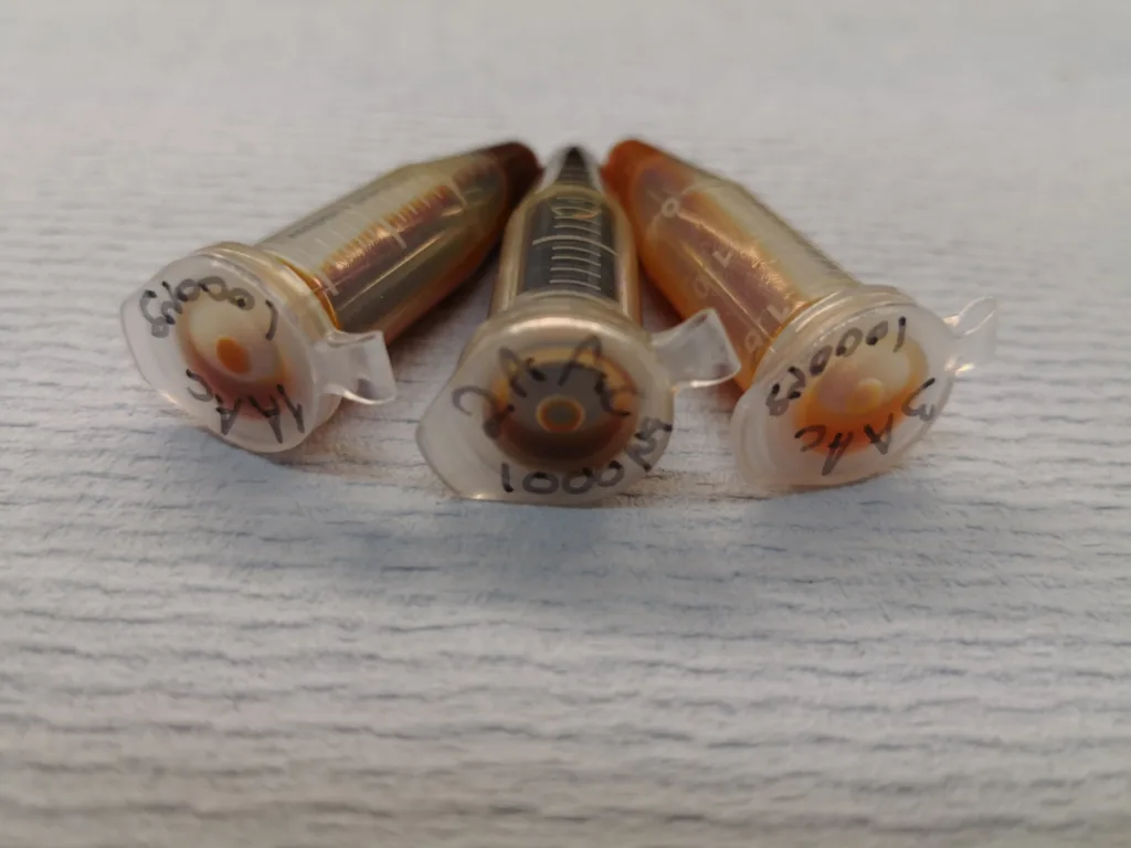 Barkekstrakter fra norske nåletrær har vist seg å ha effekt mot forskjellige parasitter hos drøvtyggere. (Foto: Berit Blomstrand)