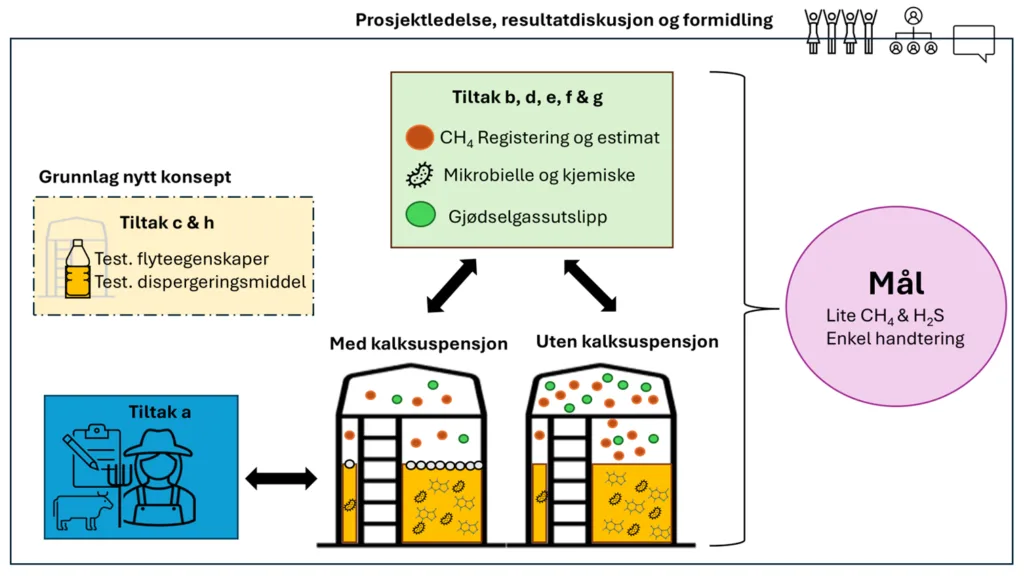 Figuren viser studieopplegg for kalksuspensjon i husdyrgjødsel: spørreundersøkelse hos bønder, samt måling av metanutslipp, gjødselgass, mikrobiologi, vanninnhold, pH og kjemiske egenskaper i seks gjødsellager (tre med kalksuspensjon, tre uten) fra høst 2026 til vår 2028. Det undersøkes også om dagens dispergeringsmiddel kan erstattes med et økologisk godkjent alternativ. (Foto: Fig.: Tatiana Rittl)