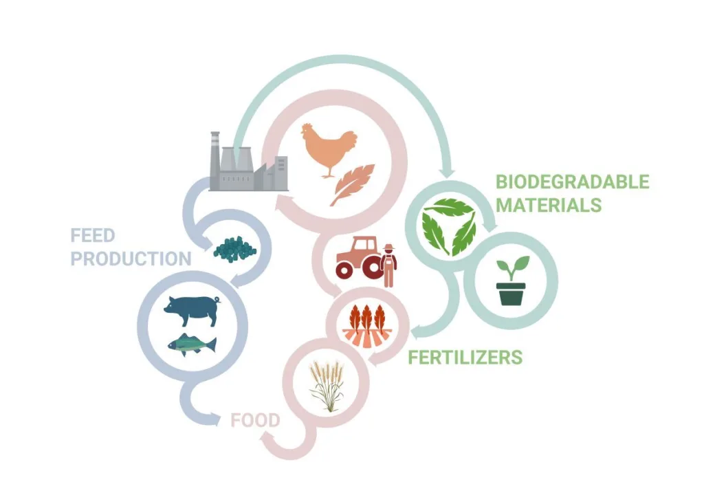 Tip Top logo Tip Top logo