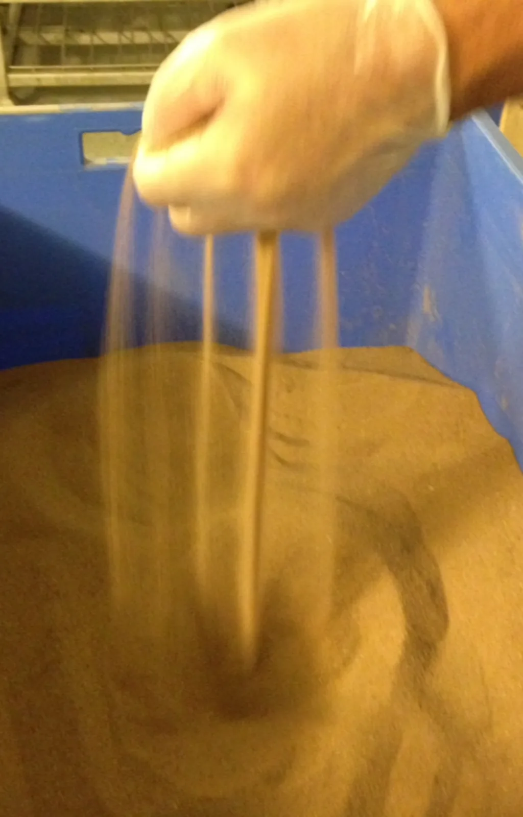 Frass is a mixture of insect excreta and shed exoskeletons. It is rich in nutrients and chitin, and can function both as an organic fertilizer and as a plant-strengthening agent. (Photo: Harald Espeland)