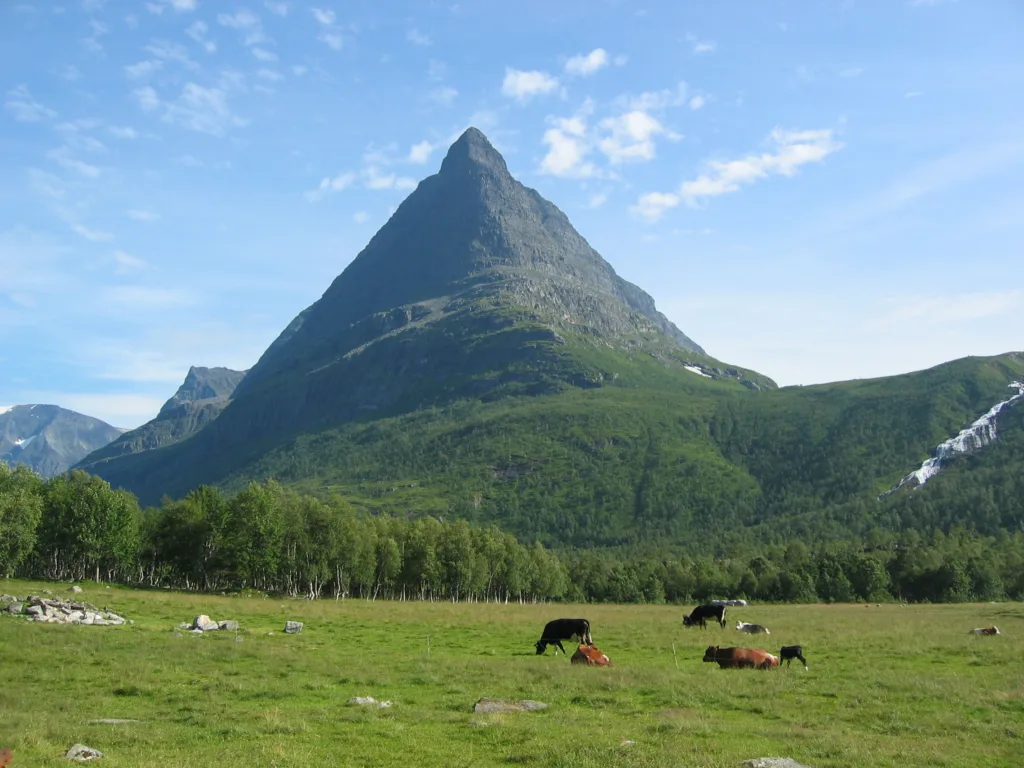 Innerdalstaarnet cows Innerdalstårnet er et yndet friluftsmål i en av Norges vakreste fjelldaler ved foten av Trollheimen. (Foto: Arkiv)