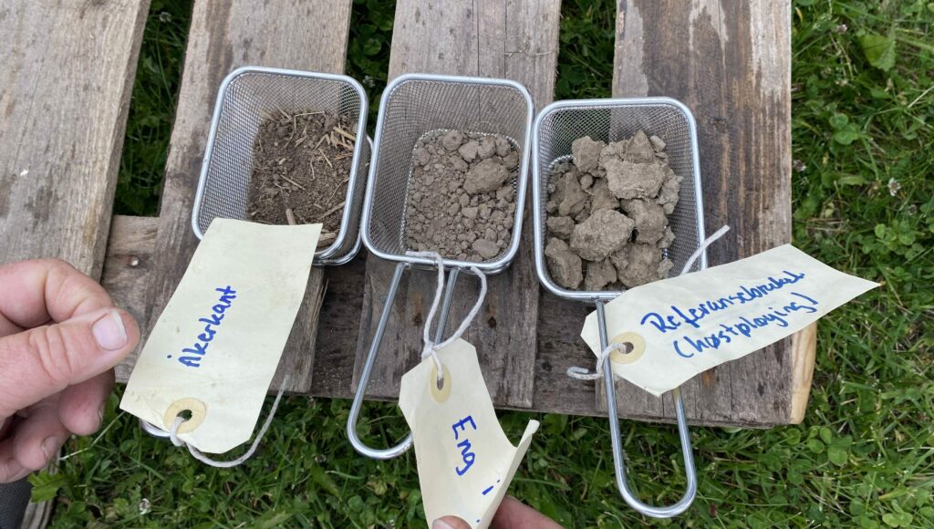 Soil samples from different crops at NIBIO Apelsvoll showing soil-structure variations. From left the best structure (field margin), in the middle moderate structure (50% ley in the crop rotation) and to the right the worst soil-structure (arable cereal/potato). (Photo: Reidun Pommeresche)