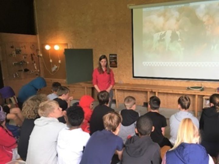 Fornybar Energi I Mr Teaching school classes about energy at Tingvoll sun and boienergy centre