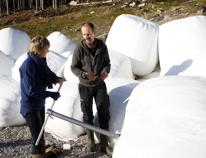 Matthias K Rose B Foto S Hansen 002 Rose Bergslid, NORSØK og Matthias Koesling, NIBIO tar prøver av fôr. (Foto: Sissel Hansen, NORSØK)