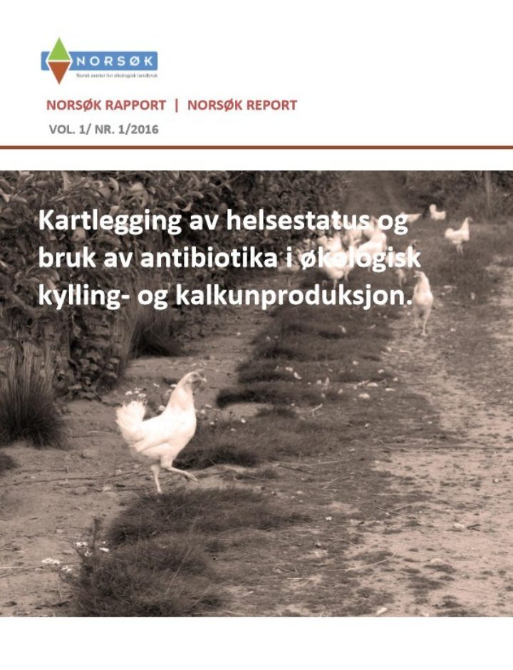 Rapport Norsok 1 2016 Rapport Norsok 1 2016
