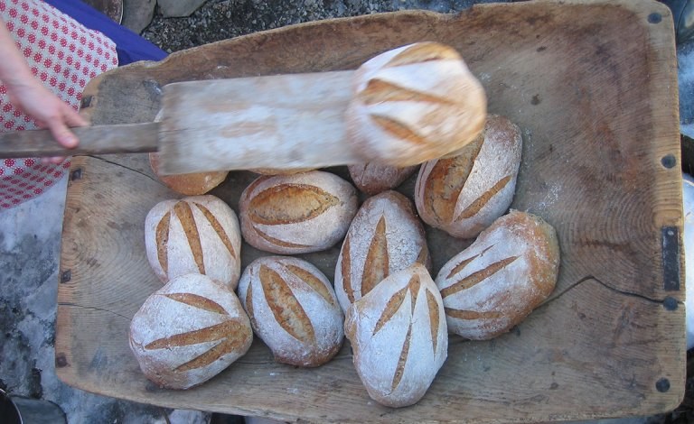 Hvete med mye gluten gir rask heving og luftige brød. Men det kan by på mageproblemer. Da kan de gamle kornsortene være en bedre løsning. (Foto: Eva Narten Høberg, NIBIO)
