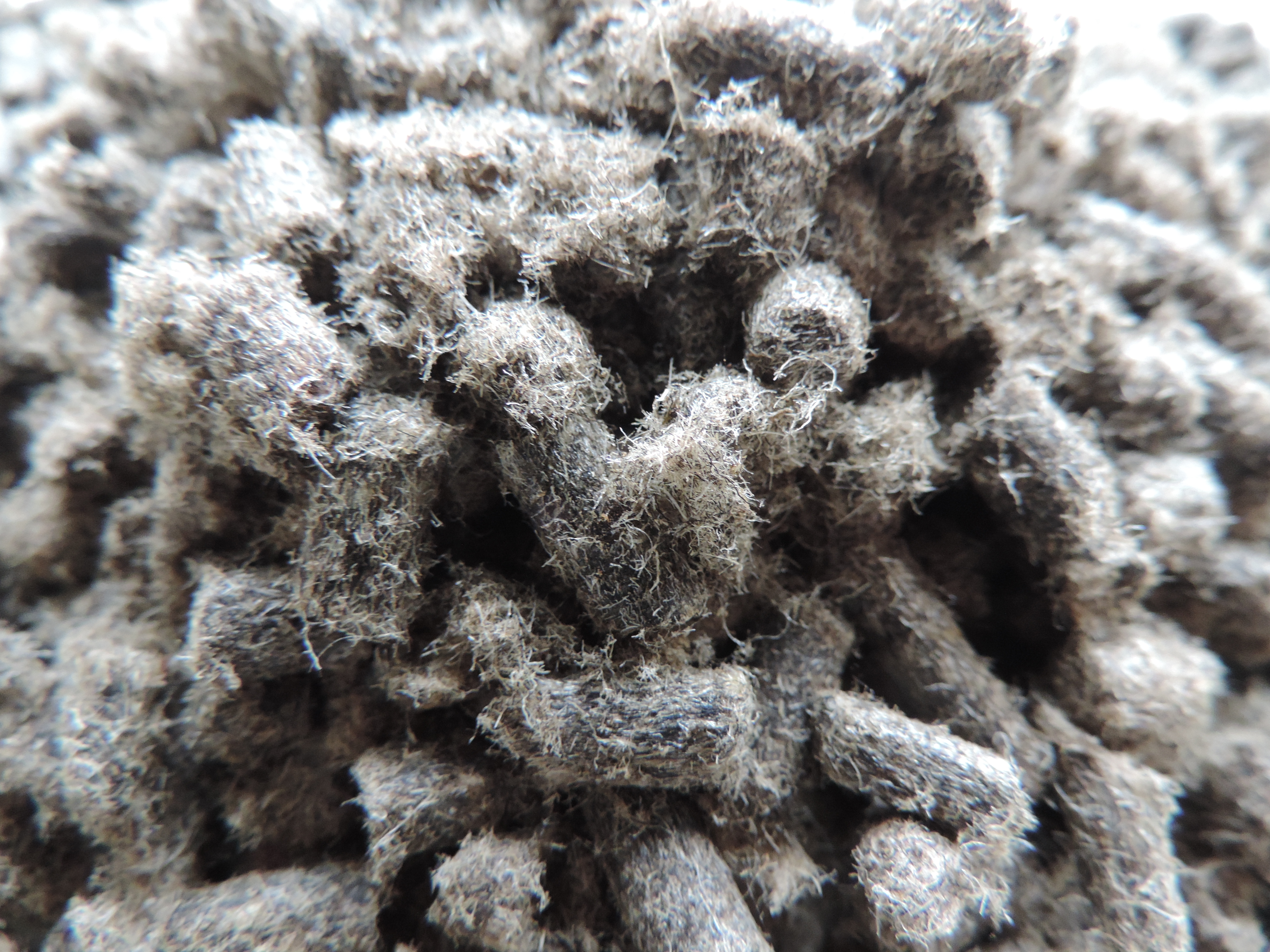 Wool pellets can be used both as soil conditioner and fertilizer (Photo: Kirsty McKinnon)