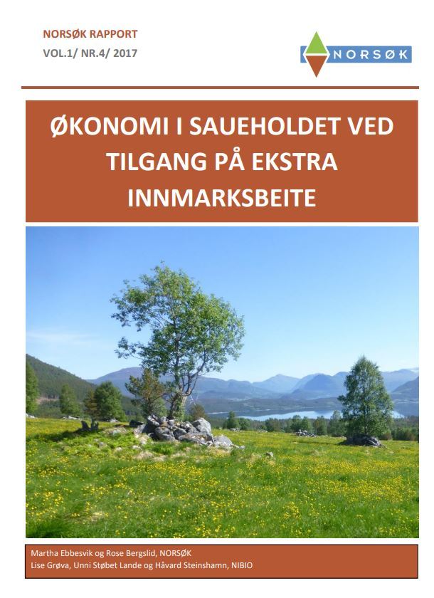 Økonomi I Sauholdet Publikasjon
