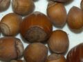 Hazel nuts and filberts with different sizes can be innovative for small scale production.