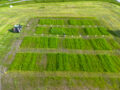 NORSØK has carried out a number of projects exploring renewable sources for plant-nutrition  in agriculture, with a focus on soil health and greenhouse gas emissions in the past. Here we can see a field that have been fertilized with liquid digestate from biogas production.