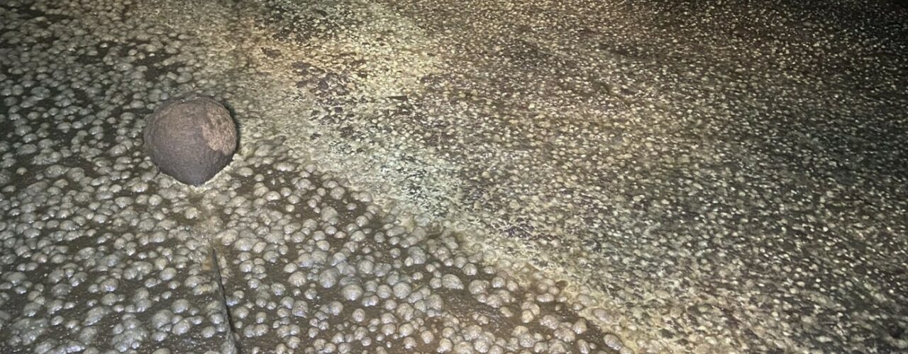 3316 Heading Bildet er tatt 1. februar 2025 og viser stor aktivitet i kubløtgjødsel hvor det sist ble tilført kalksuspensjon våren 2024. Samtidig registrerte vi lave metanutslipp og lite gjødselgass ved gjentatte registreringer gjennom året. (Foto: Sissel Hansen)