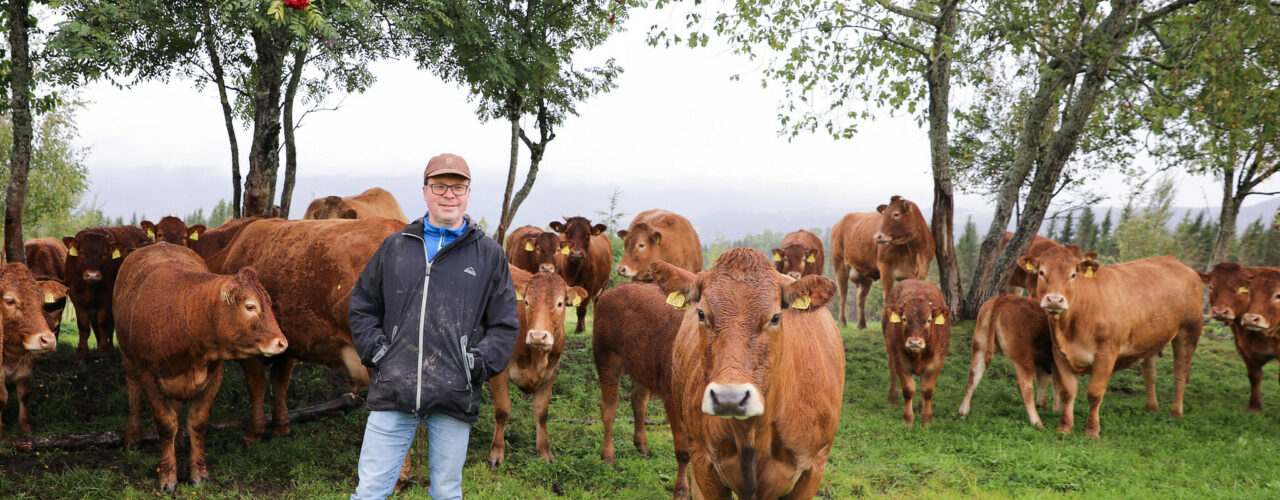 FELLESKAP OG KUNNSKAP: Prosjektet skal knytte sammen nye og vordende økobønder innen både husdyr og plantedyrking for å stimulere til økt produksjon av økologisk mat. (Foto: Birgitta Eva Hollander, Debio.)